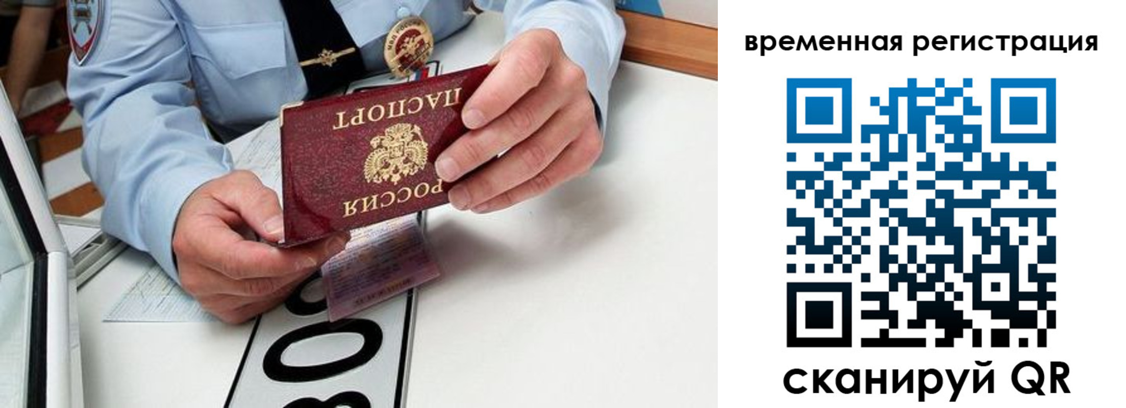 прописка гарантия в Брянской области