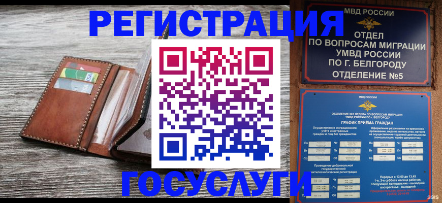 временная регистрация гарантия в Брянской области